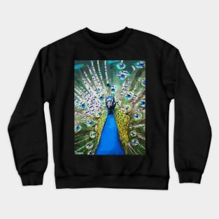 Magical Blue Peacock Crewneck Sweatshirt